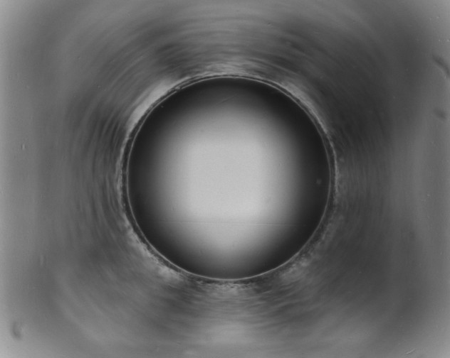 X0000101690949200807101510