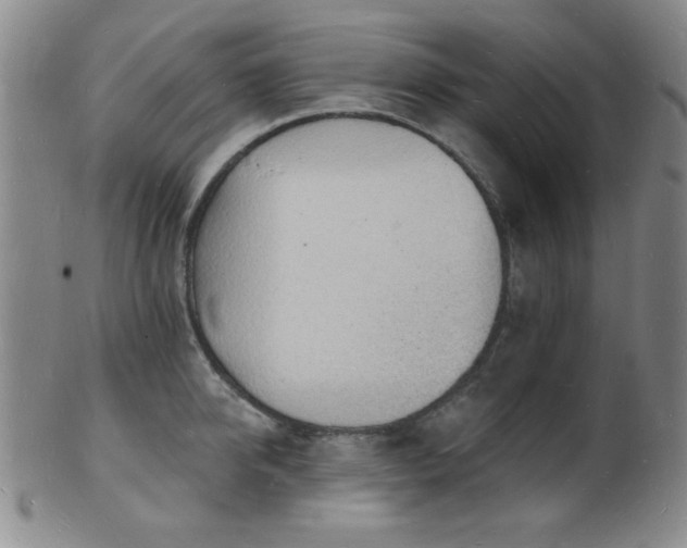 X0000101690950200807101510