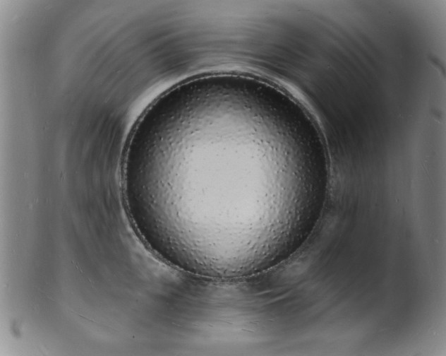 X0000101690951200807101510