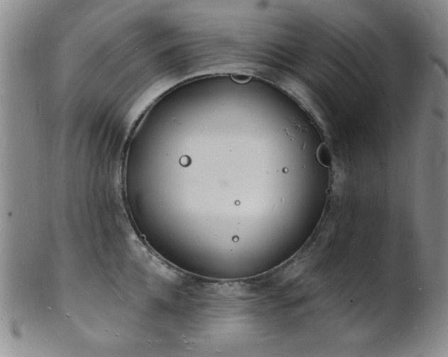 X0000101690952200807101510