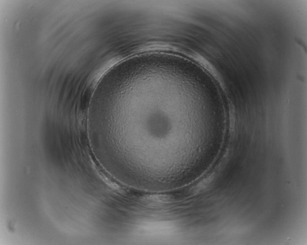 X0000101690953200807101510