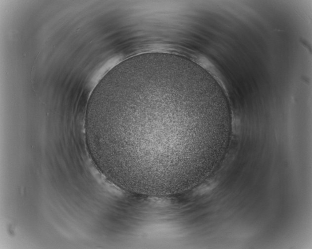 X0000101690954200807101510