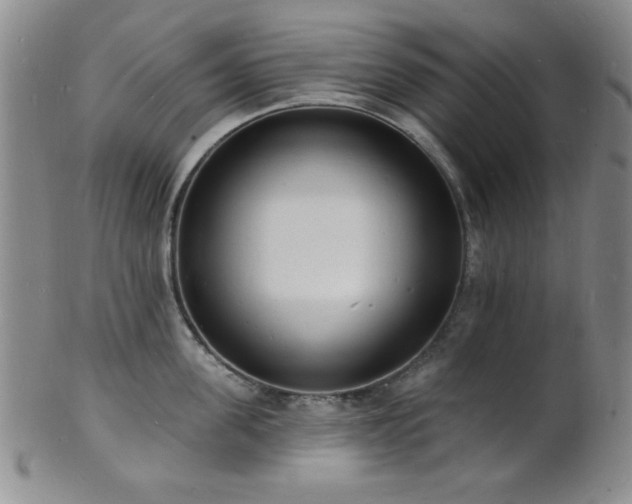 X0000101690955200807101510