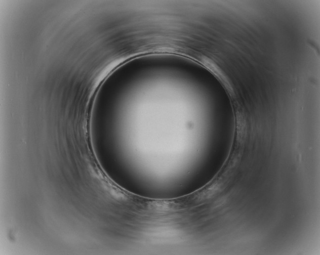 X0000101690956200807101510