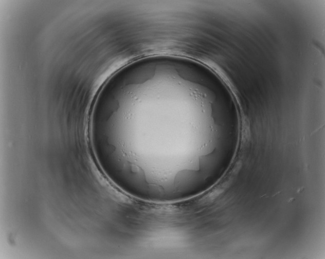 X0000101690957200807101510