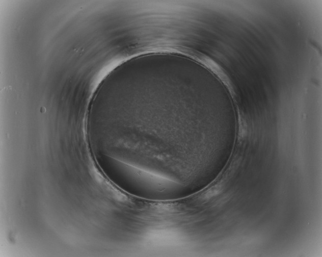 X0000101690958200807101510