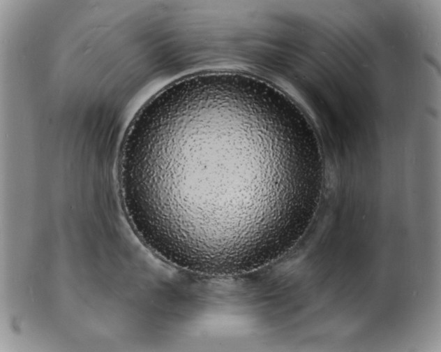 X0000101690959200807101510