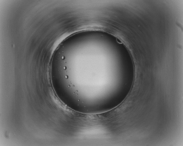 X0000101690960200807101510