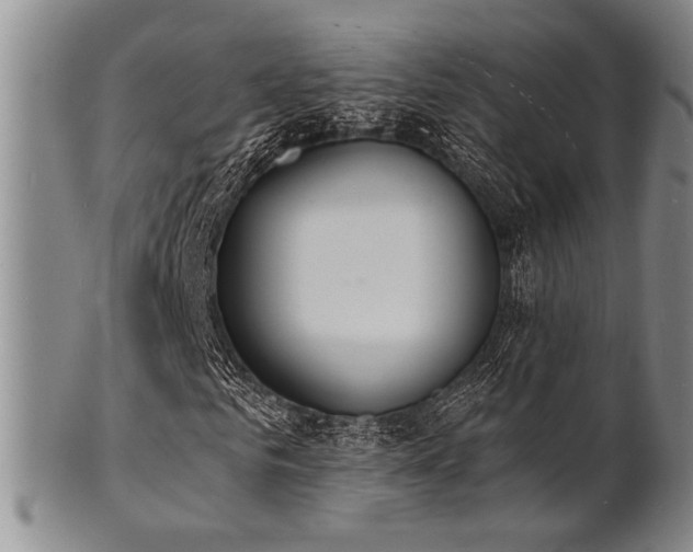 X0000101690961200807101509