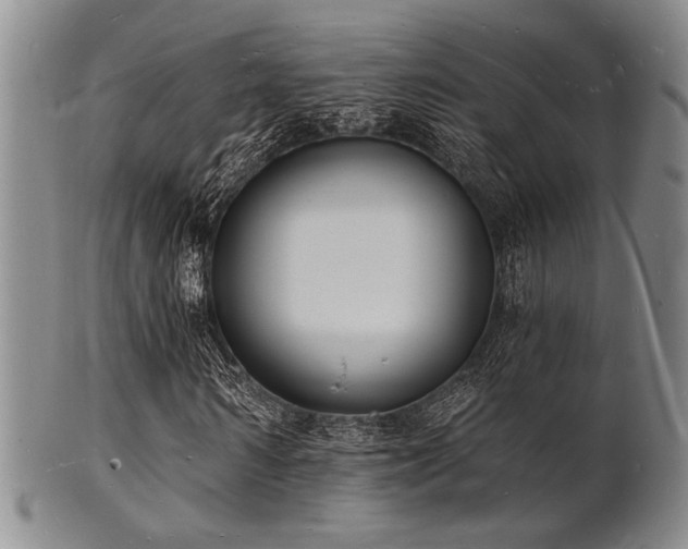 X0000101690962200807101509