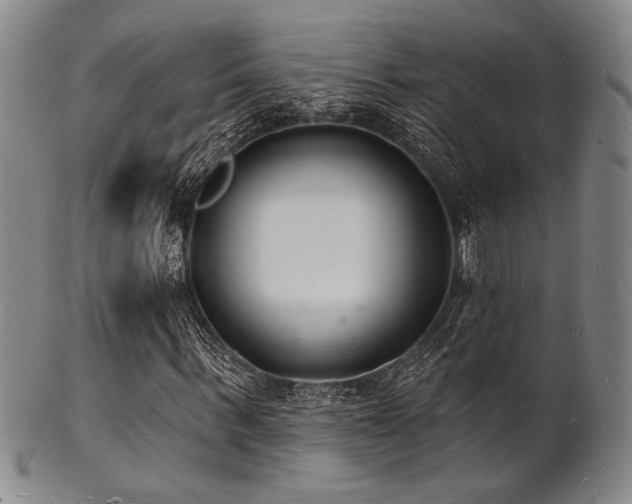 X0000101690963200807101509