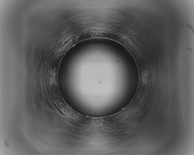 X0000101690964200807101509