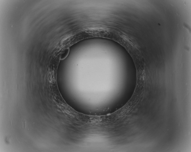 X0000101690965200807101509