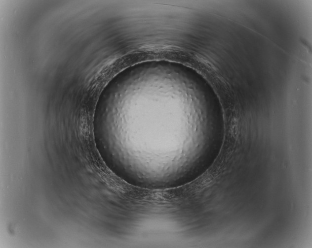 X0000101690966200807101509