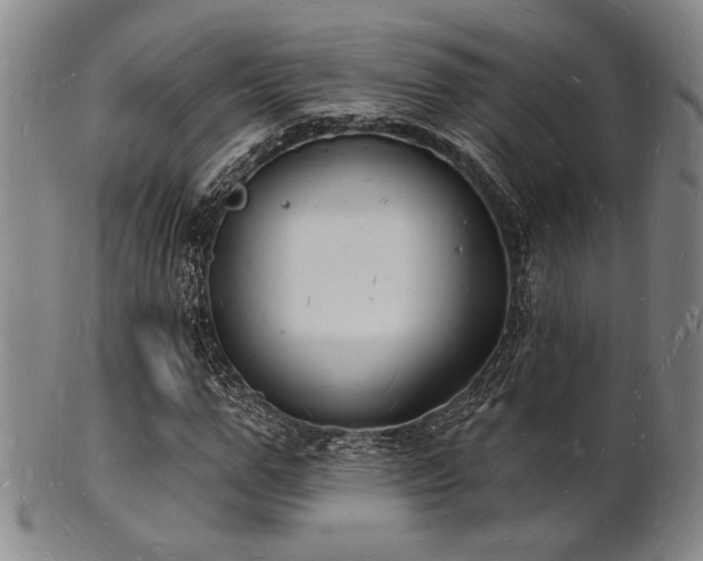 X0000101690967200807101509