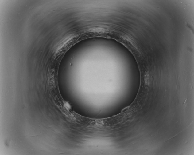 X0000101690968200807101509