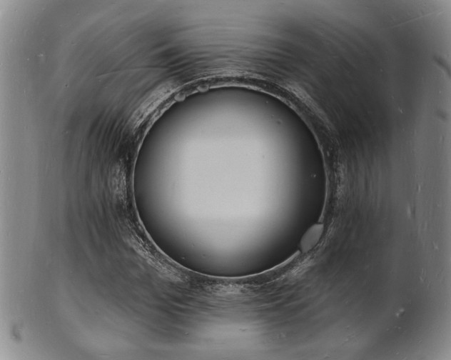 X0000101690969200807101509