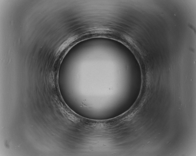 X0000101690970200807101509