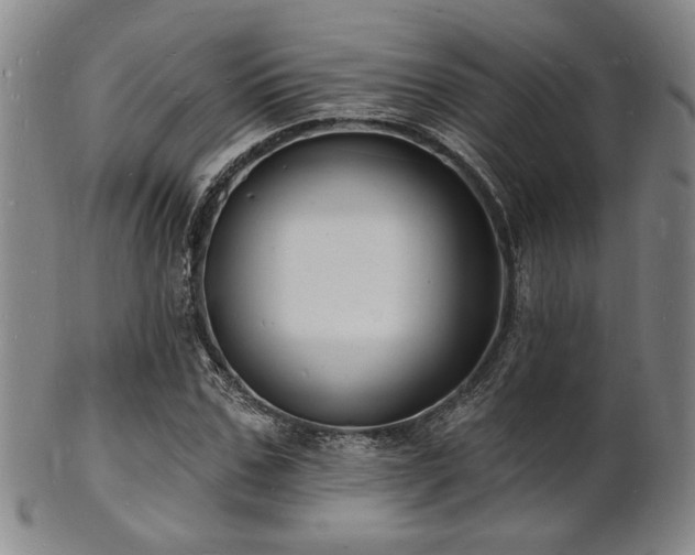 X0000101690971200807101509