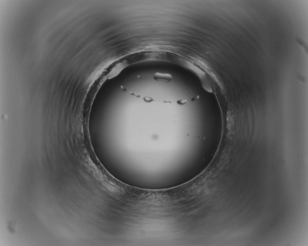 X0000101690972200807101509