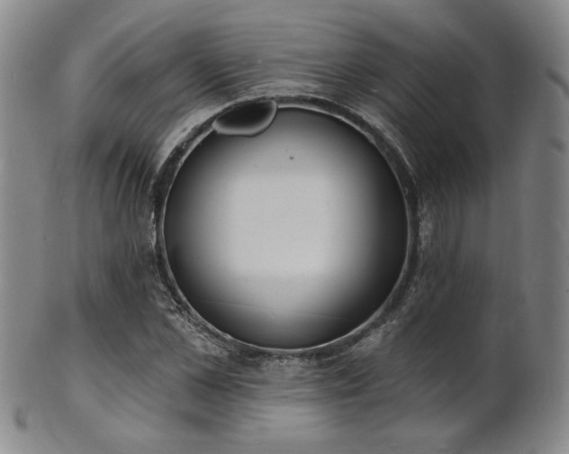 X0000101690973200807101509