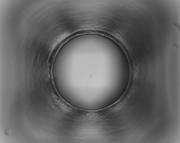 X0000101690974200807101509