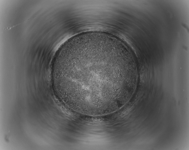 X0000101690975200807101509