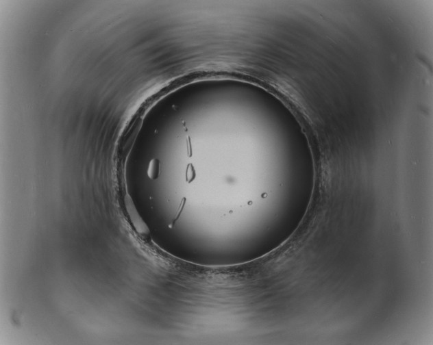 X0000101690976200807101509