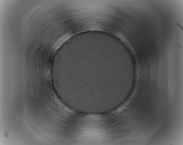 X0000101690977200807101509