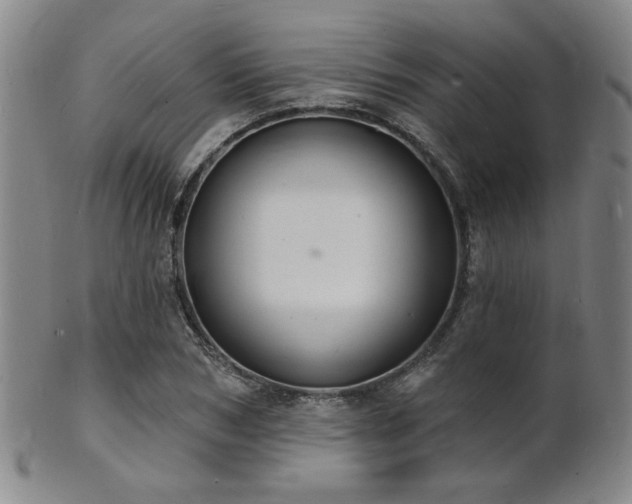 X0000101690978200807101509