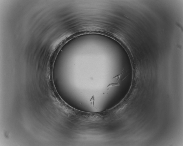 X0000101690979200807101509