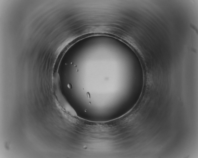 X0000101690980200807101509