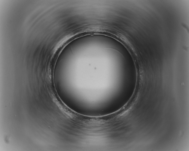 X0000101690981200807101509