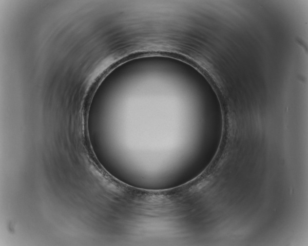 X0000101690982200807101509