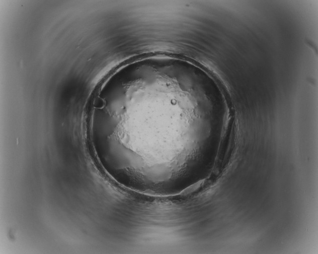 X0000101690983200807101509