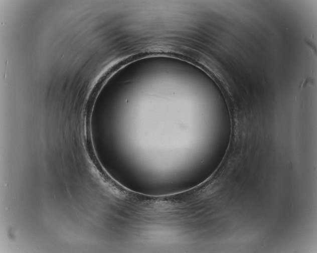 X0000101690984200807101509