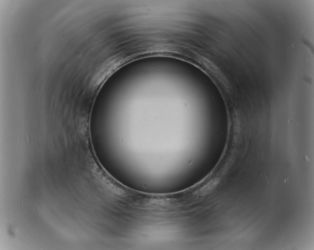 X0000101690985200807101509