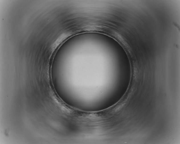 X0000101690986200807101509