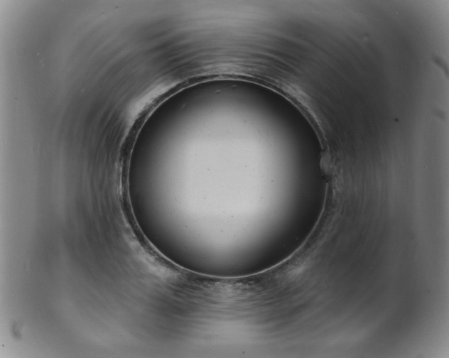 X0000101690987200807101509