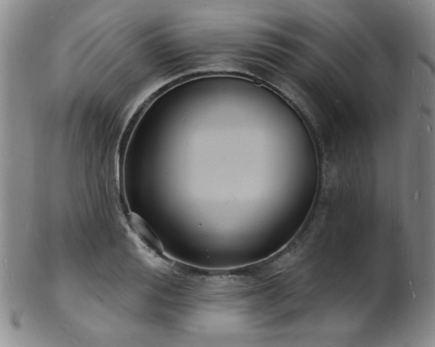 X0000101690988200807101509