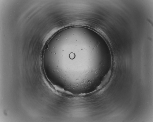 X0000101690989200807101509