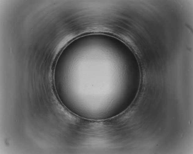 X0000101690990200807101509