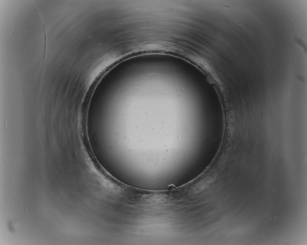 X0000101690991200807101509