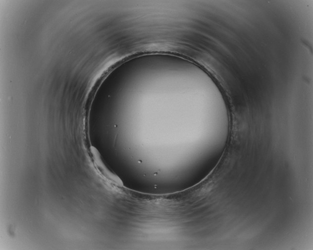 X0000101690992200807101509