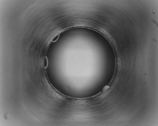 X0000101690993200807101509