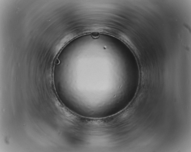 X0000101690994200807101509