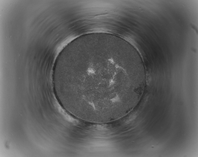 X0000101690995200807101509