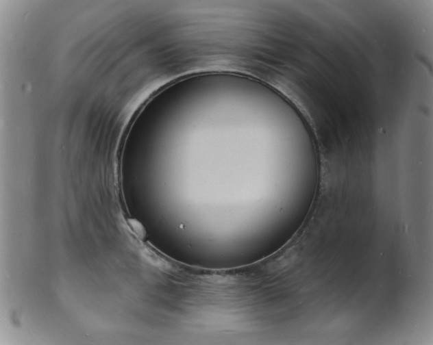 X0000101690996200807101509