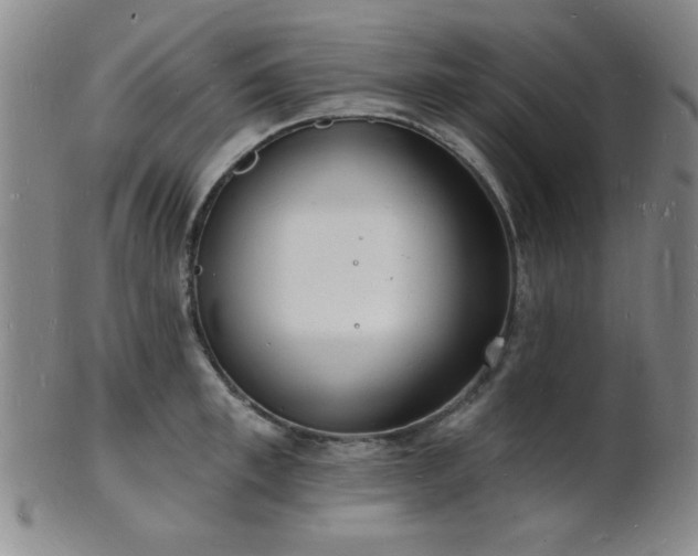 X0000101690997200807101509