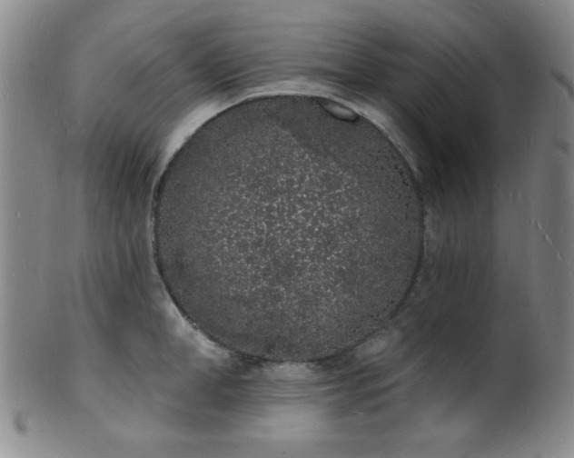 X0000101690998200807101509